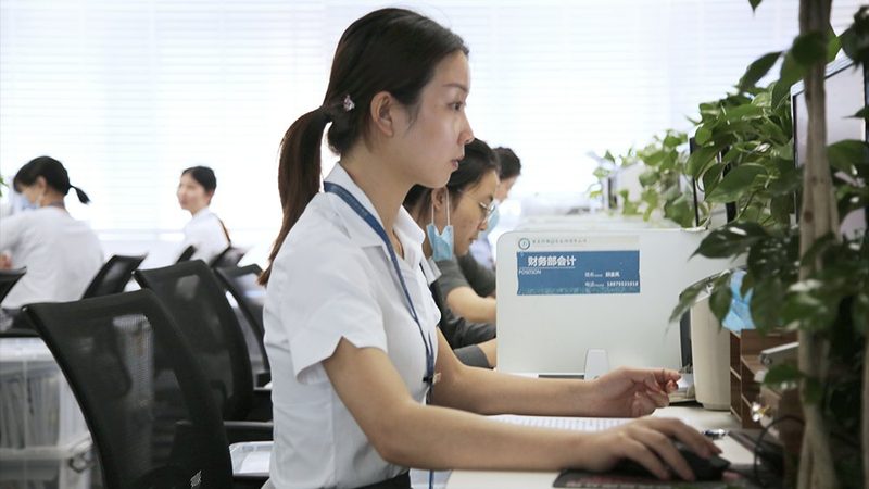 发明专利与实用新型专利的区别：关键要素与流程解析