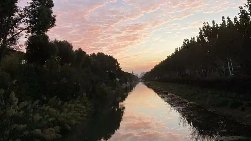 推荐授权率高的专利代理公司